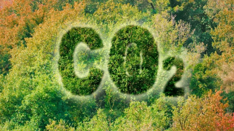 CO2 stopa